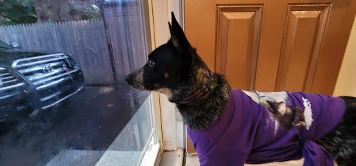 Pet Supply Store «Pet Supplies Plus», reviews and photos, 1519 Lititz Pike, Lancaster, PA 17601, USA