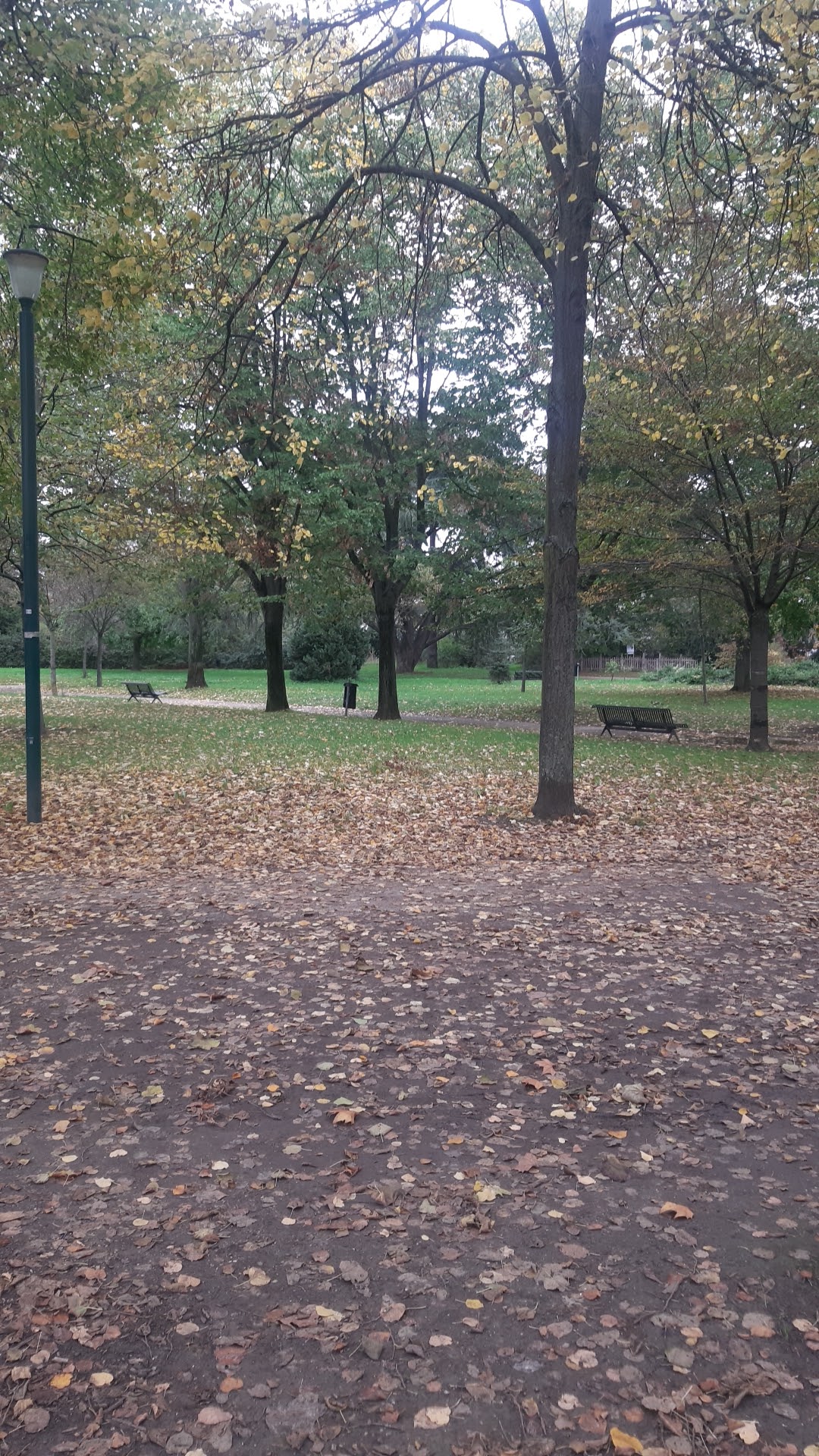 Photo n° 4 de l'avis de said.e fait le 02/11/2019 à 13:02