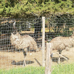 Photo n°5 de l'avis de Ciro.a fait le 08/02/2022 à 00:47 sur le  San Bartolomeo Green Events - Experience Park à Caiazzo