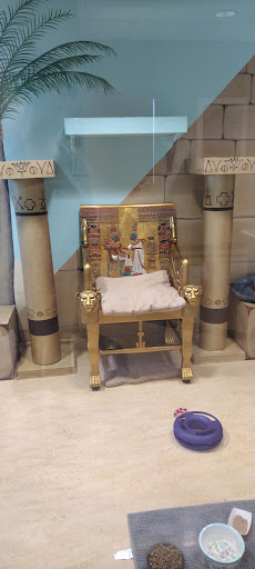 Animal Shelter «Oregon Humane Society», reviews and photos