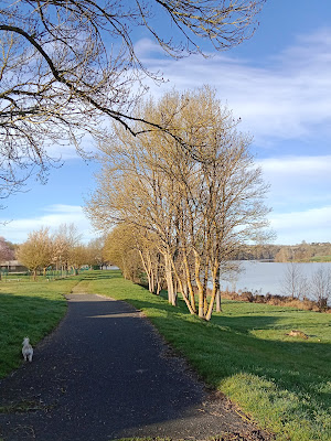 Plage du Lac de Chemille-sur-Indrois à Chemillé-sur-Indrois