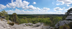 Parc Naturel Régional du Gâtinais Français du Restaurant Auberge De La Dame Jouanne- Le Chalet Jobert à Larchant - n°7