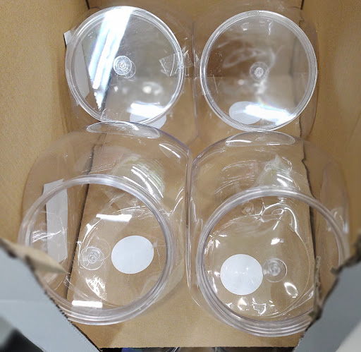 Dollar Store «Dollar Tree», reviews and photos, 10581 Springfield Pike, Woodlawn, OH 45215, USA