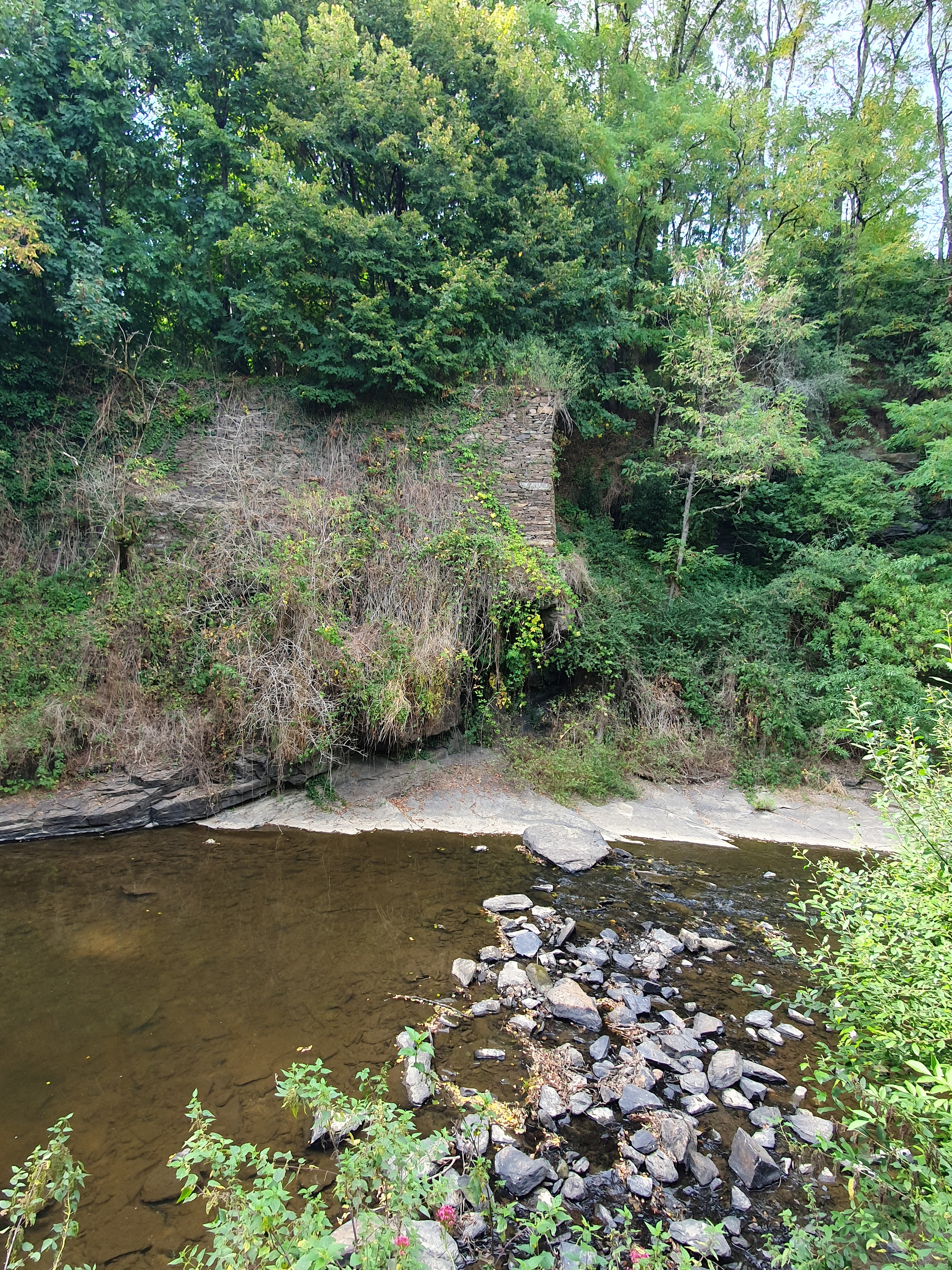 Photo n° 8 de l'avis de Damien.o fait le 13/08/2023 à 15:51