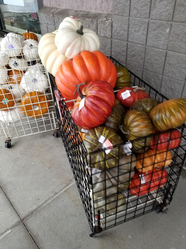 Craft Store «Michaels», reviews and photos, 3460 124th Ave NW, Coon Rapids, MN 55433, USA