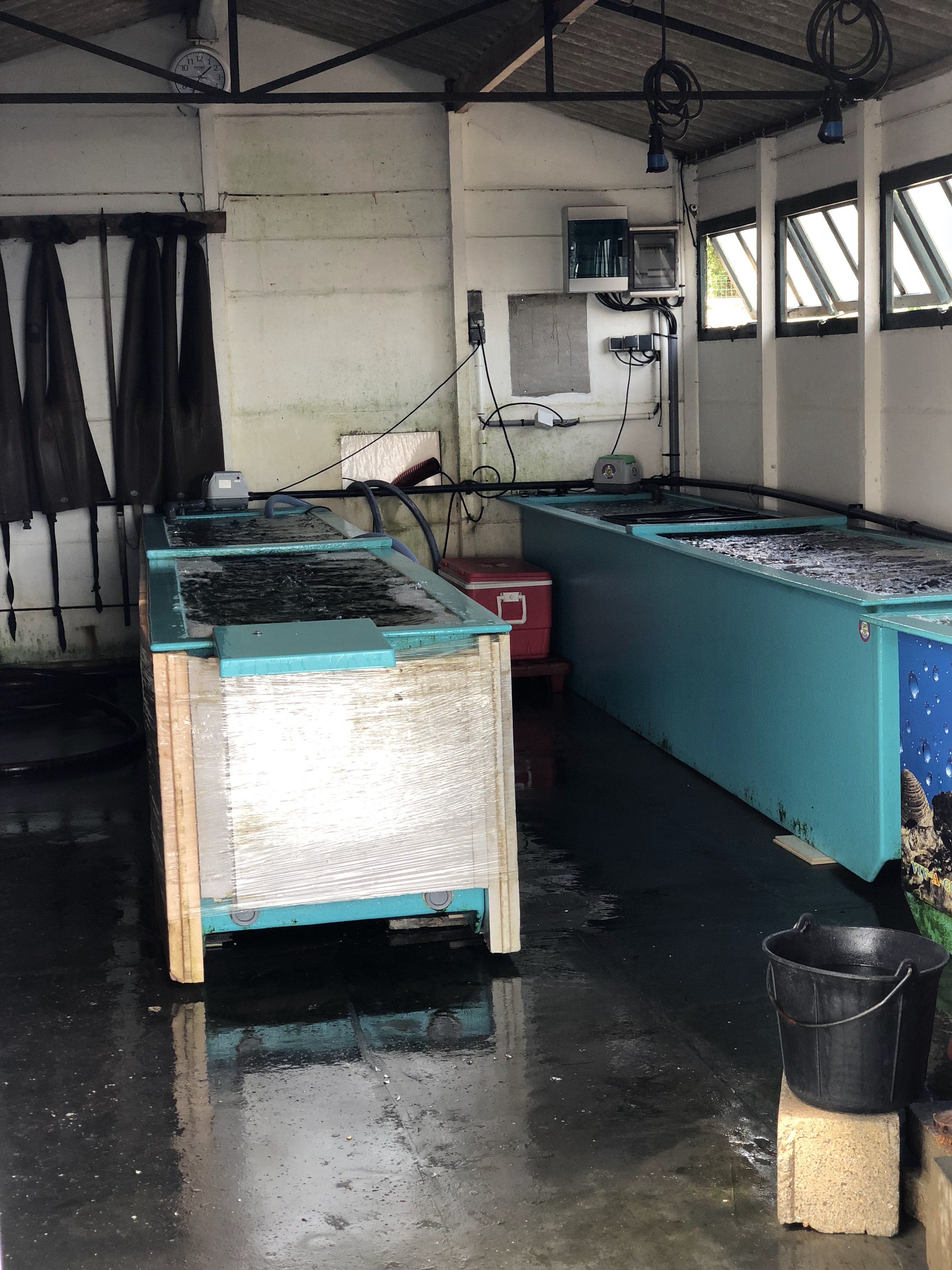 Photo n° 2 de l'avis de Igor.a fait le 22/08/2018 à 11:39