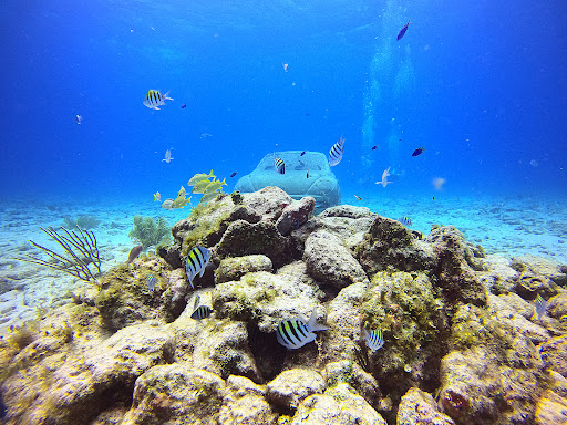 A' HA' Scuba Diving