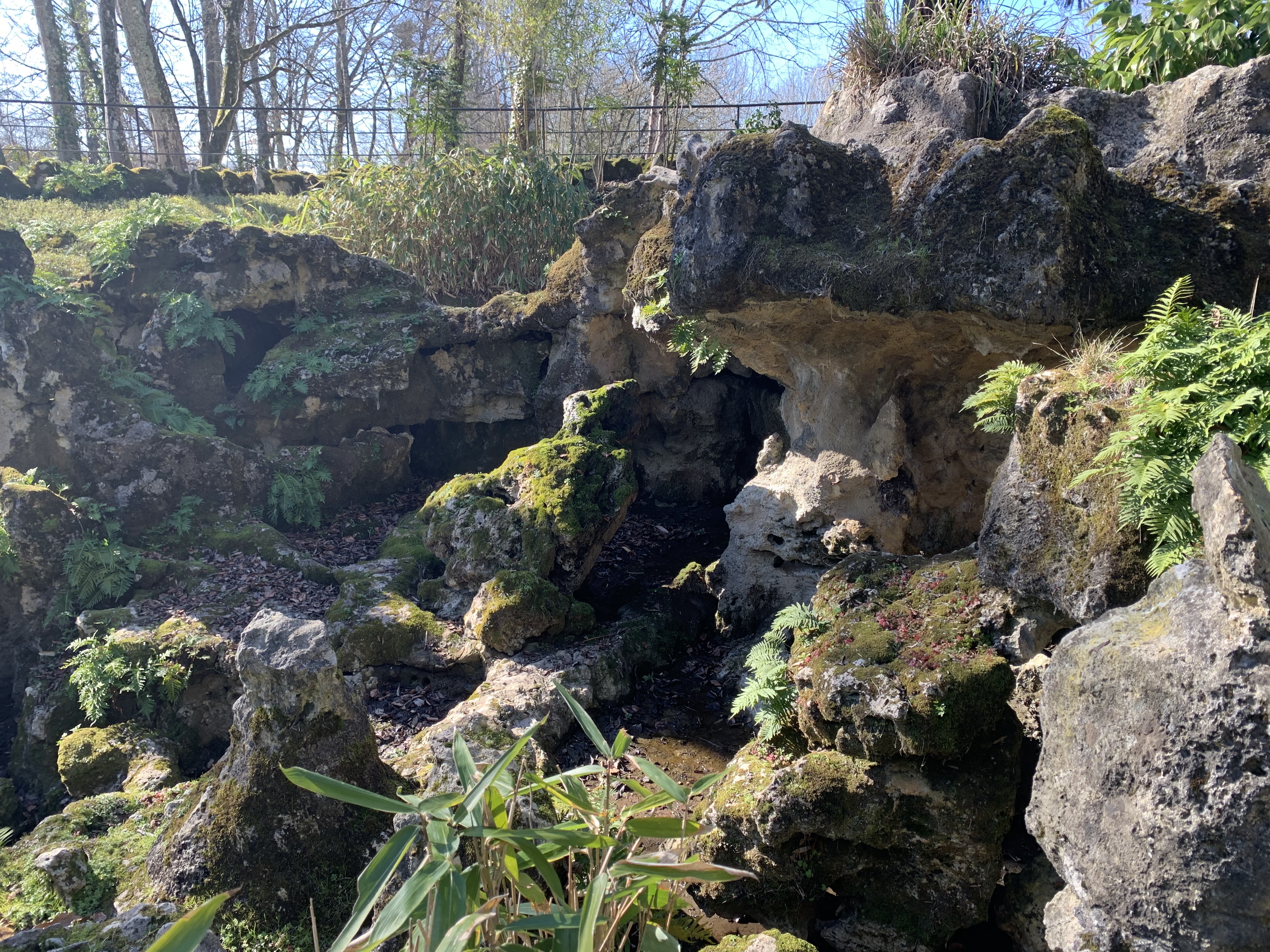 Photo n° 15 de l'avis de Esteban.R fait le 13/02/2023 à 17:04