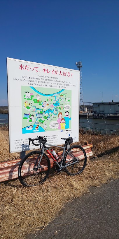 印旛沼サイクリングロード 終点