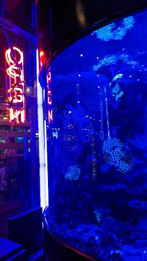 Cocktail Bar «Moloko», reviews and photos, 3967 N Mississippi Ave, Portland, OR 97227, USA