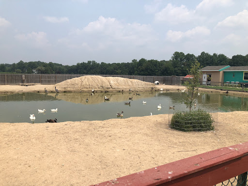 Zoo «3 Palms Zoo & Education Center», reviews and photos, 924 Blackbird Forest Rd, Clayton, DE 19938, USA