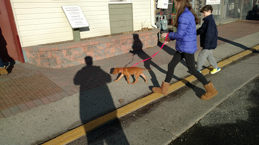 Animal Shelter «Humane Society of Atlantic County», reviews and photos, 1401 Absecon Blvd, Atlantic City, NJ 08401, USA