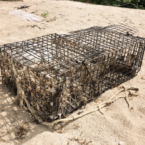 Park «Caumsett State Park», reviews and photos, 25 Lloyd Harbor Rd, Lloyd Harbor, NY 11743, USA