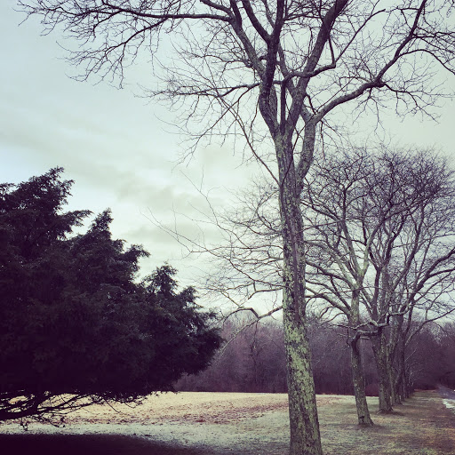 History Museum «Eustis Estate Museum and Study Center», reviews and photos, 1424 Canton Ave, Milton, MA 02186, USA