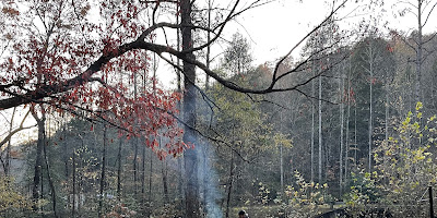 Curtis Creek Campground