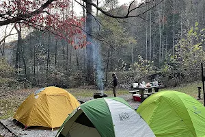 Curtis Creek Campground image