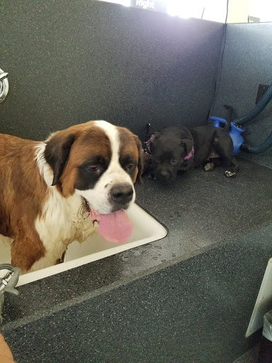 Pet Supply Store «Pet Supplies Plus», reviews and photos, 4500 Arroyo Vista, Livermore, CA 94551, USA