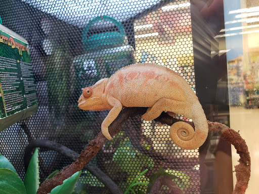 Pet Supply Store «Petco Animal Supplies», reviews and photos, 1704 US Hwy 27 S, Sebring, FL 33870, USA