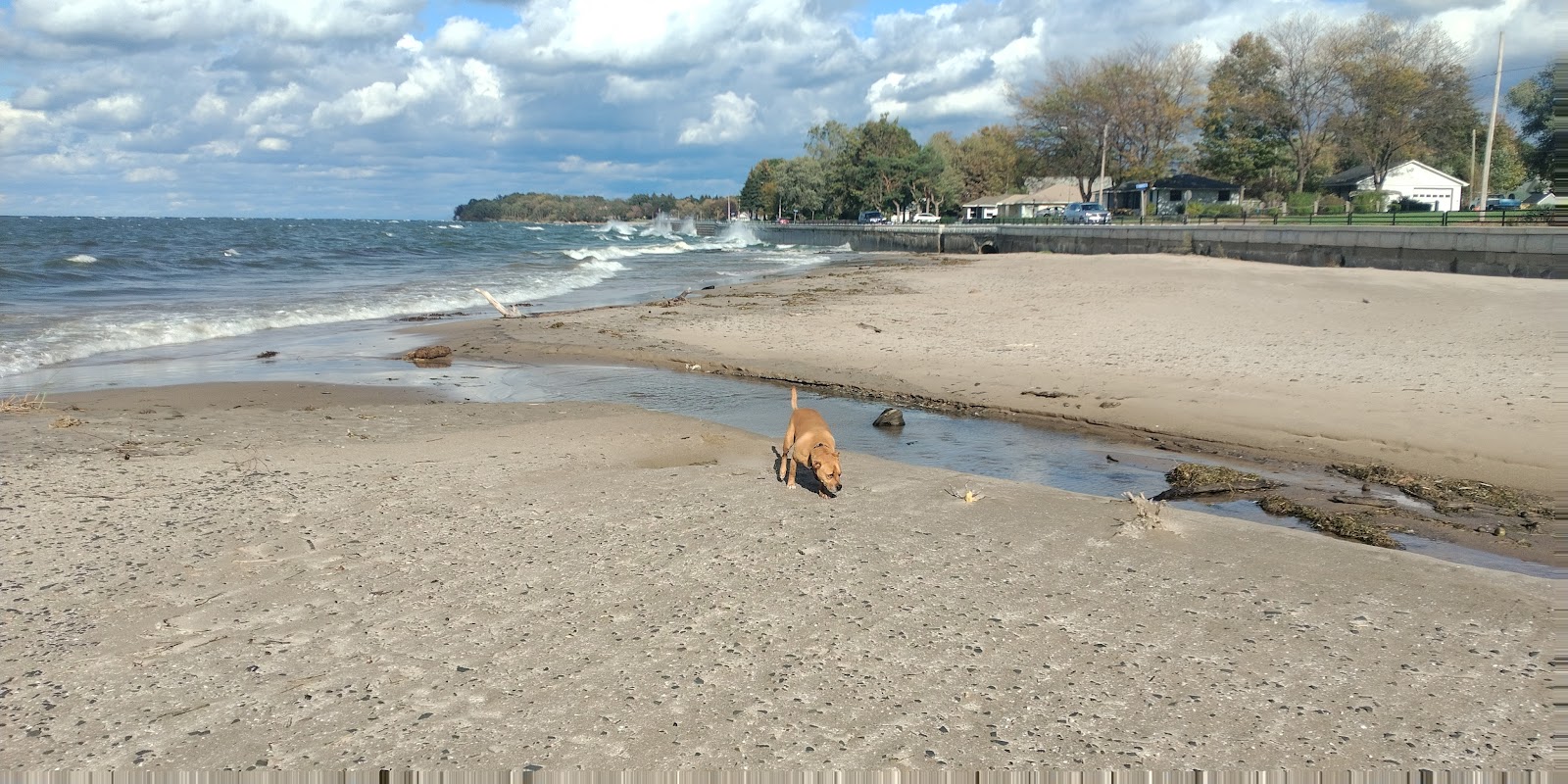 Dunkirk Beach'in fotoğrafı çok temiz temizlik seviyesi ile