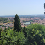 Photo n°10 de l'avis de Andrea.u fait le 16/07/2022 à 12:54 sur le  A.M.E.N à Verona