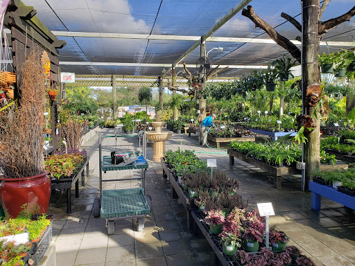 Tiendas para comprar plantas huerto Miami