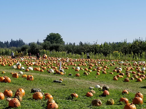 Market «E Z Orchards Farm Market», reviews and photos, 5504 Hazelgreen Rd NE, Salem, OR 97305, USA