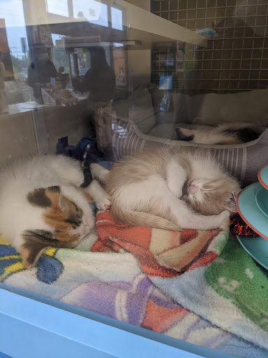 Pet Supply Store «Unleashed by Petco», reviews and photos, 905 W Foothill Blvd, Claremont, CA 91711, USA