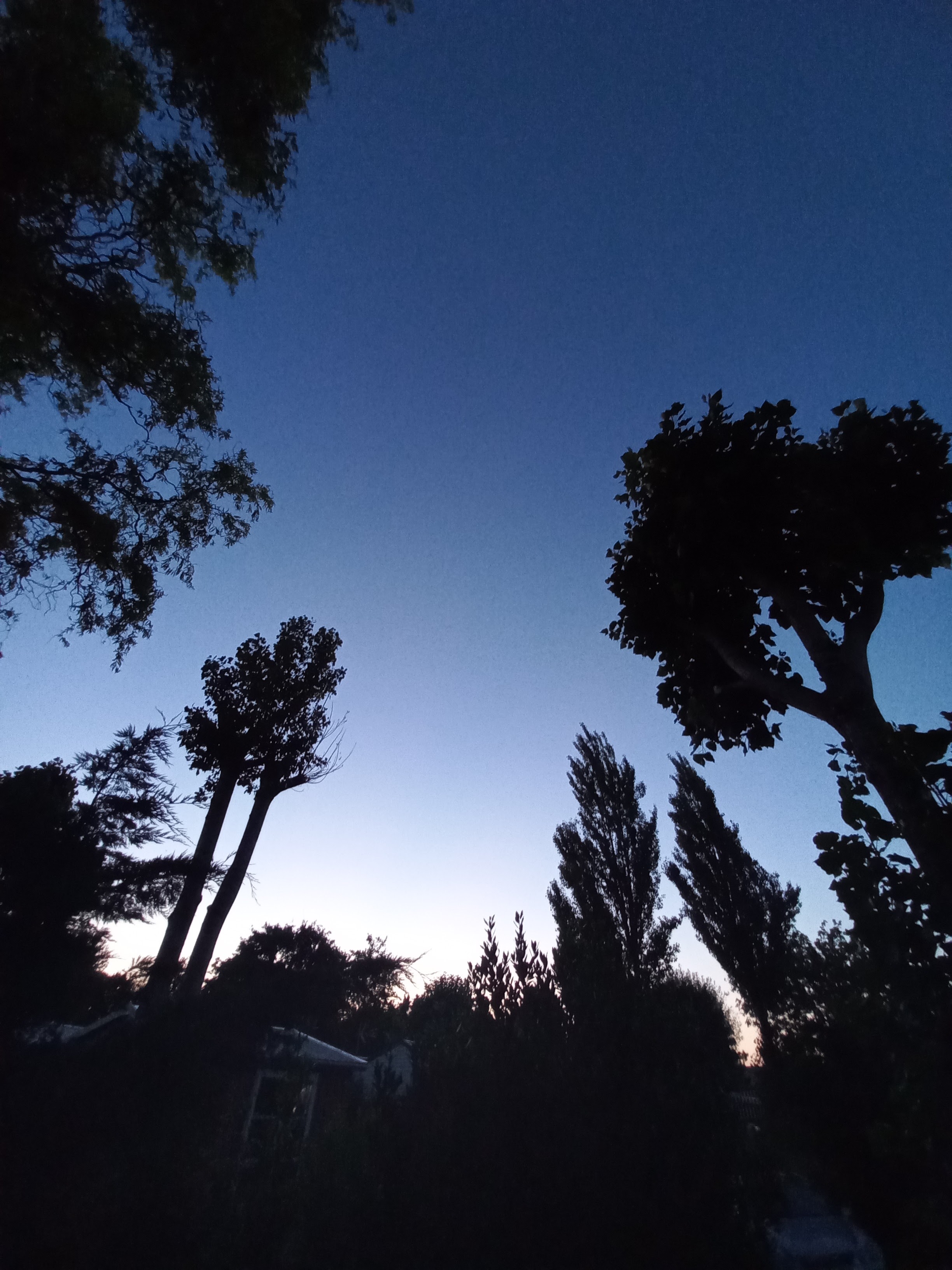 Photo n° 6 de l'avis de cats. fait le 01/08/2021 à 17:24