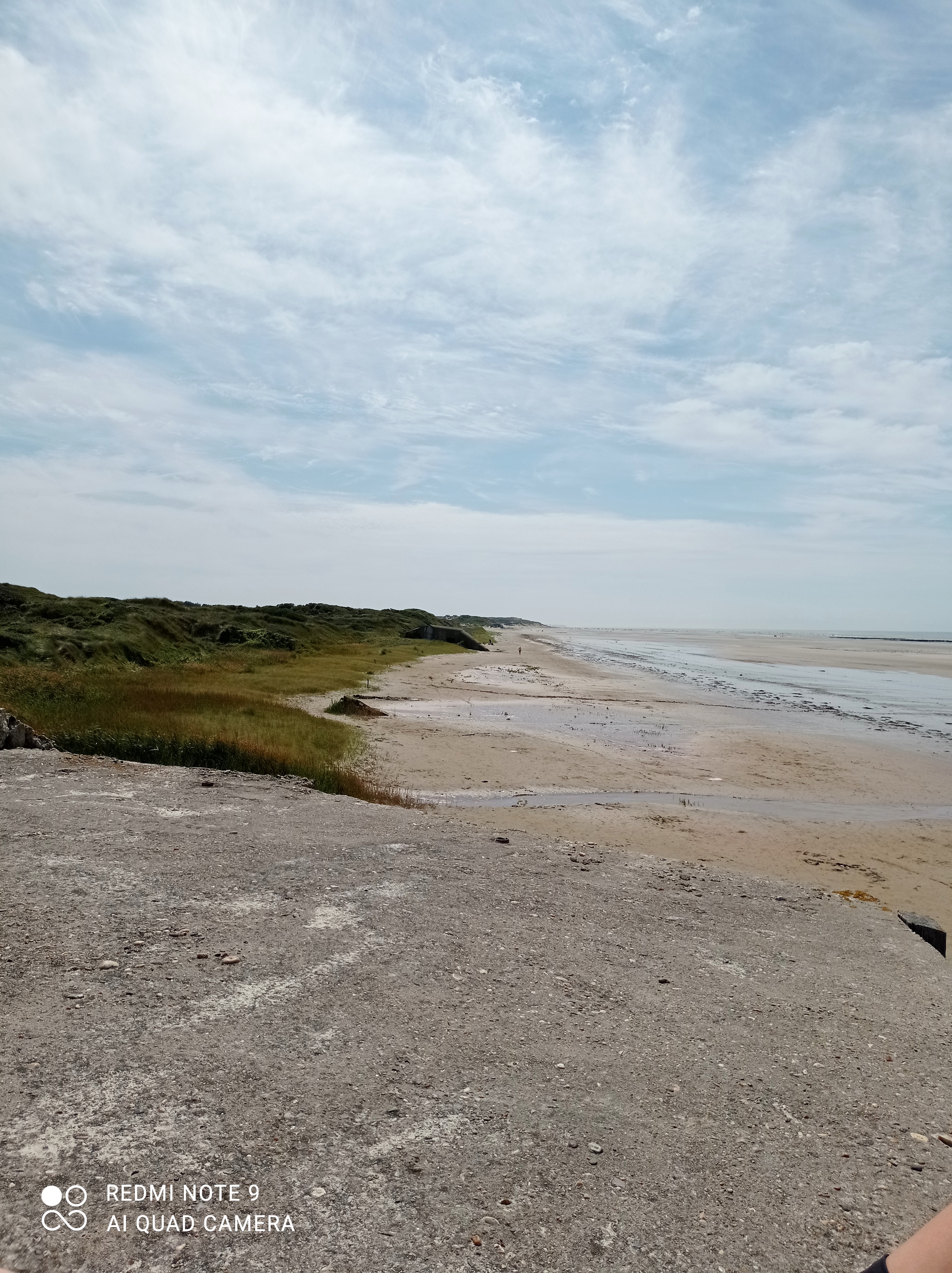 Photo n° 11 de l'avis de Michael.u fait le 15/08/2021 à 18:06