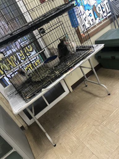 Pet Store «Park Avenue Birds & Pet Supply», reviews and photos, 120 W Center St, West Bridgewater, MA 02379, USA