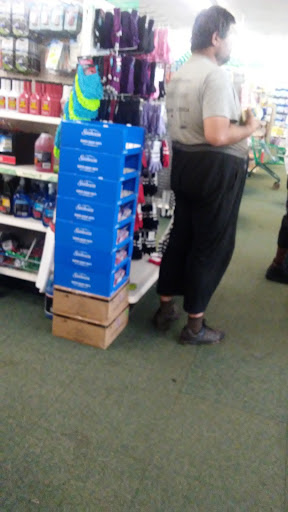 Dollar Store «Dollar Tree», reviews and photos, 257 Market Pl Blvd, Cartersville, GA 30121, USA