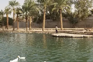 وادي حنيفه - مجرى الوادي image