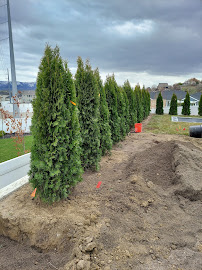 Tarango Landscaping - Photo 1 - Car repair in , Provo