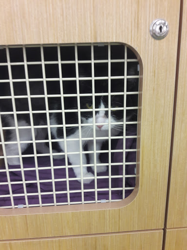 Pet Supply Store «Petco Animal Supplies», reviews and photos, 32074 Gratiot Ave, Roseville, MI 48066, USA