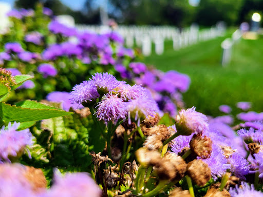 Monument «The Tomb of the Unknowns», reviews and photos, 1 Memorial Ave, Fort Myer, VA 22211, USA