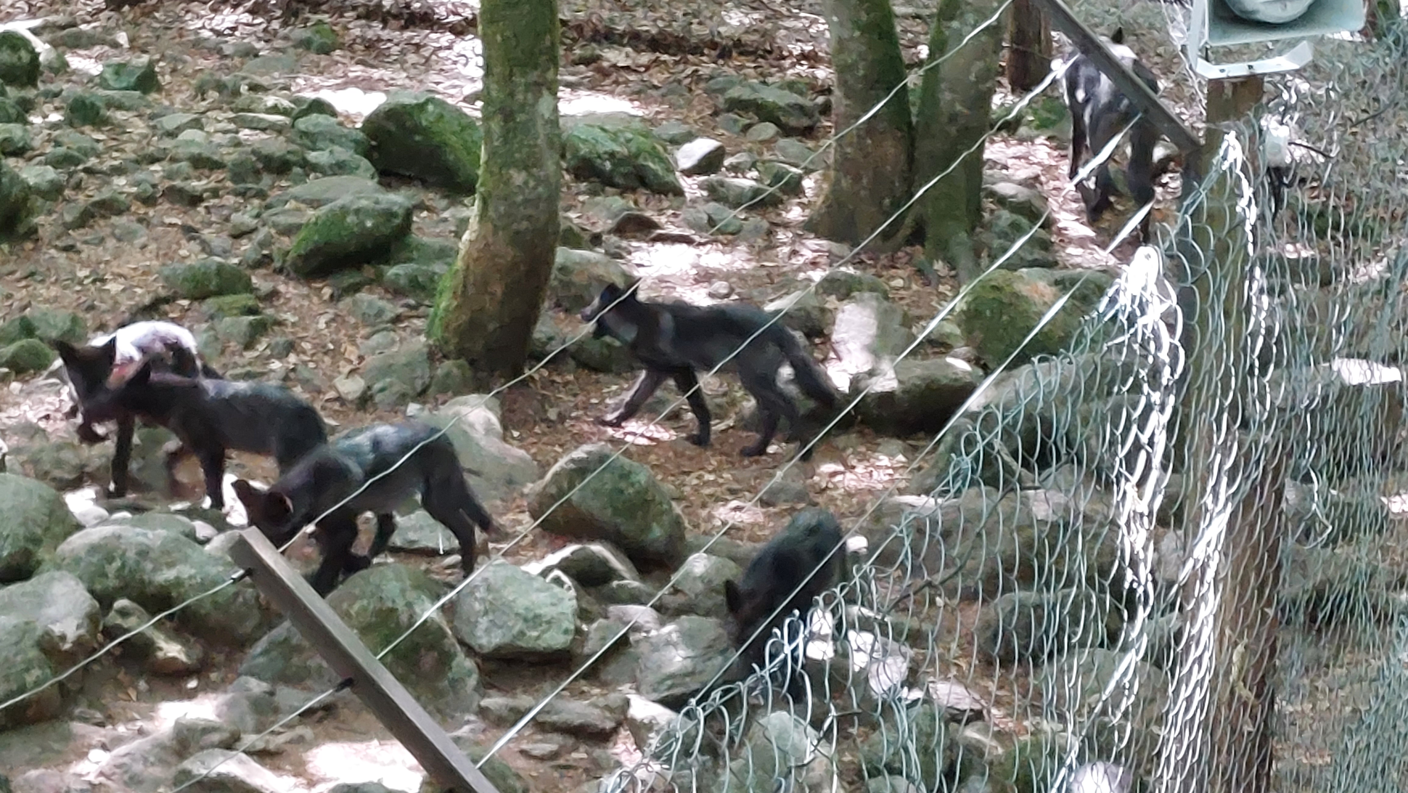 Photo n° 9 de l'avis de Stéphane.e fait le 14/08/2022 à 16:18