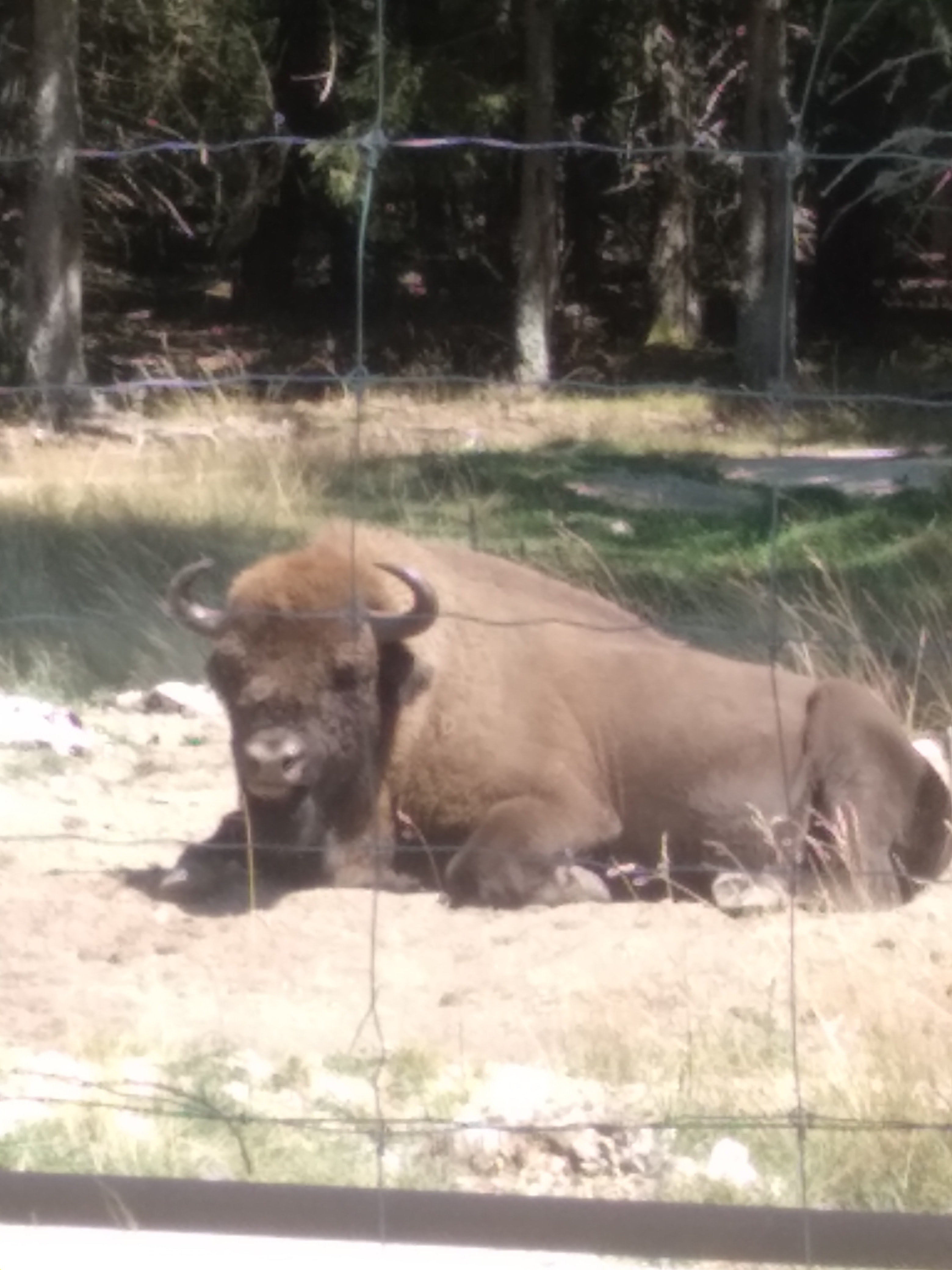 Photo n° 3 de l'avis de Olivia.a fait le 22/08/2023 à 10:37