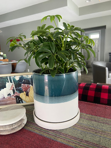 General Store «MOD GEN - A Modern General Store», reviews and photos, 211 N Broadway, Milwaukee, WI 53202, USA