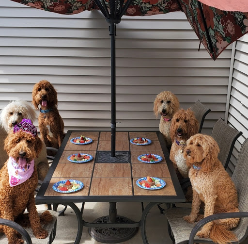 Home Improvement Store «The Home Depot», reviews and photos, 960 US-41, Schererville, IN 46375, USA