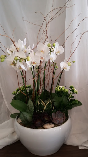 Florist «Urban Florist», reviews and photos, 5310 W 8th St, Los Angeles, CA 90036, USA