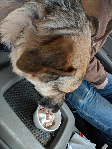 Ice Cream Shop «North Pole Ice Cream Shop», reviews and photos, 2973 Heights Ravenna Rd, Muskegon, MI 49444, USA