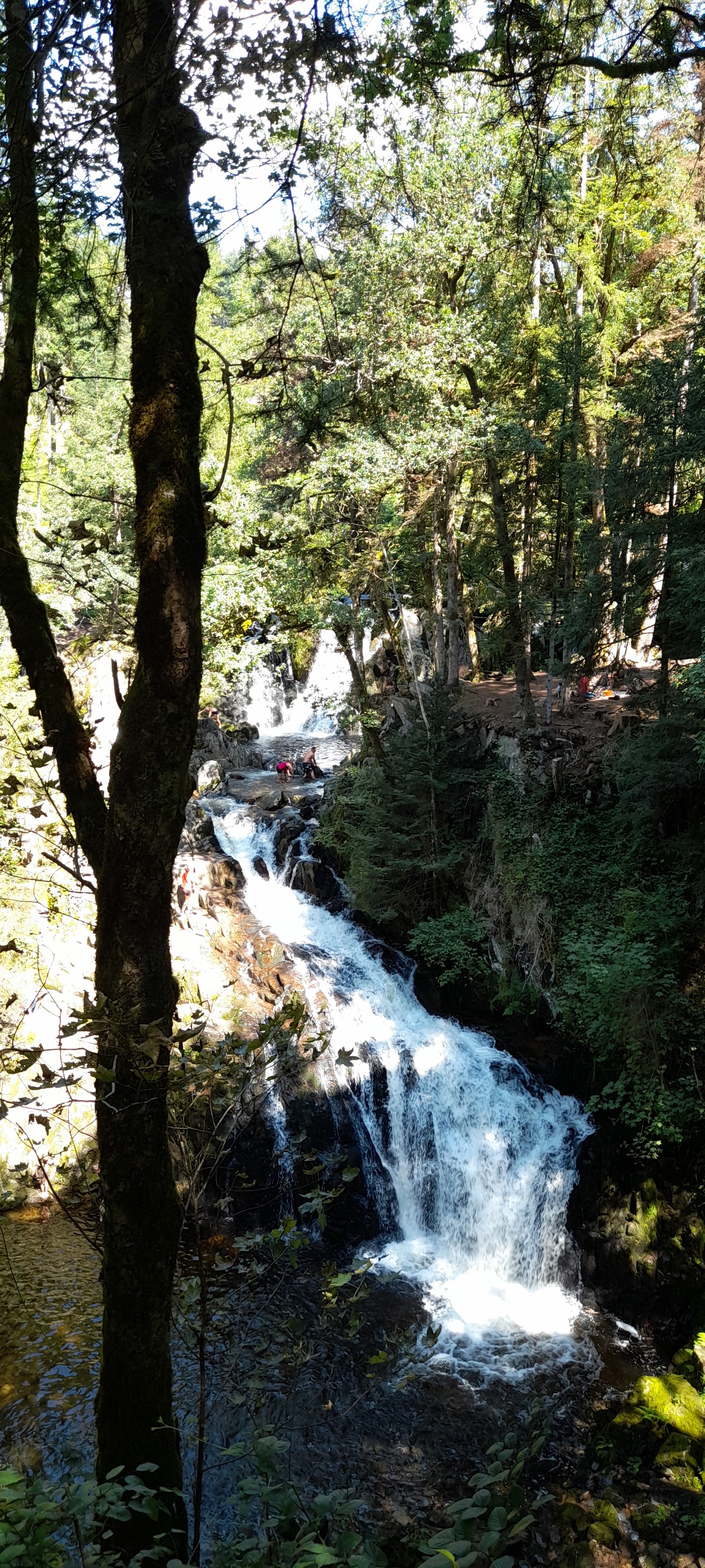 Photo n° 8 de l'avis de Philippe.e fait le 11/08/2021 à 14:59