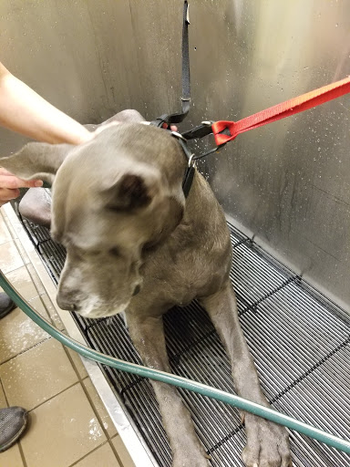 Pet Supply Store «Pet Supplies Plus», reviews and photos, 2424 W State St, Alliance, OH 44601, USA