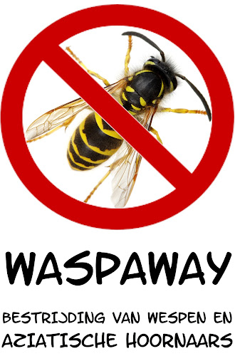 Reacties en beoordelingen van Waspaway