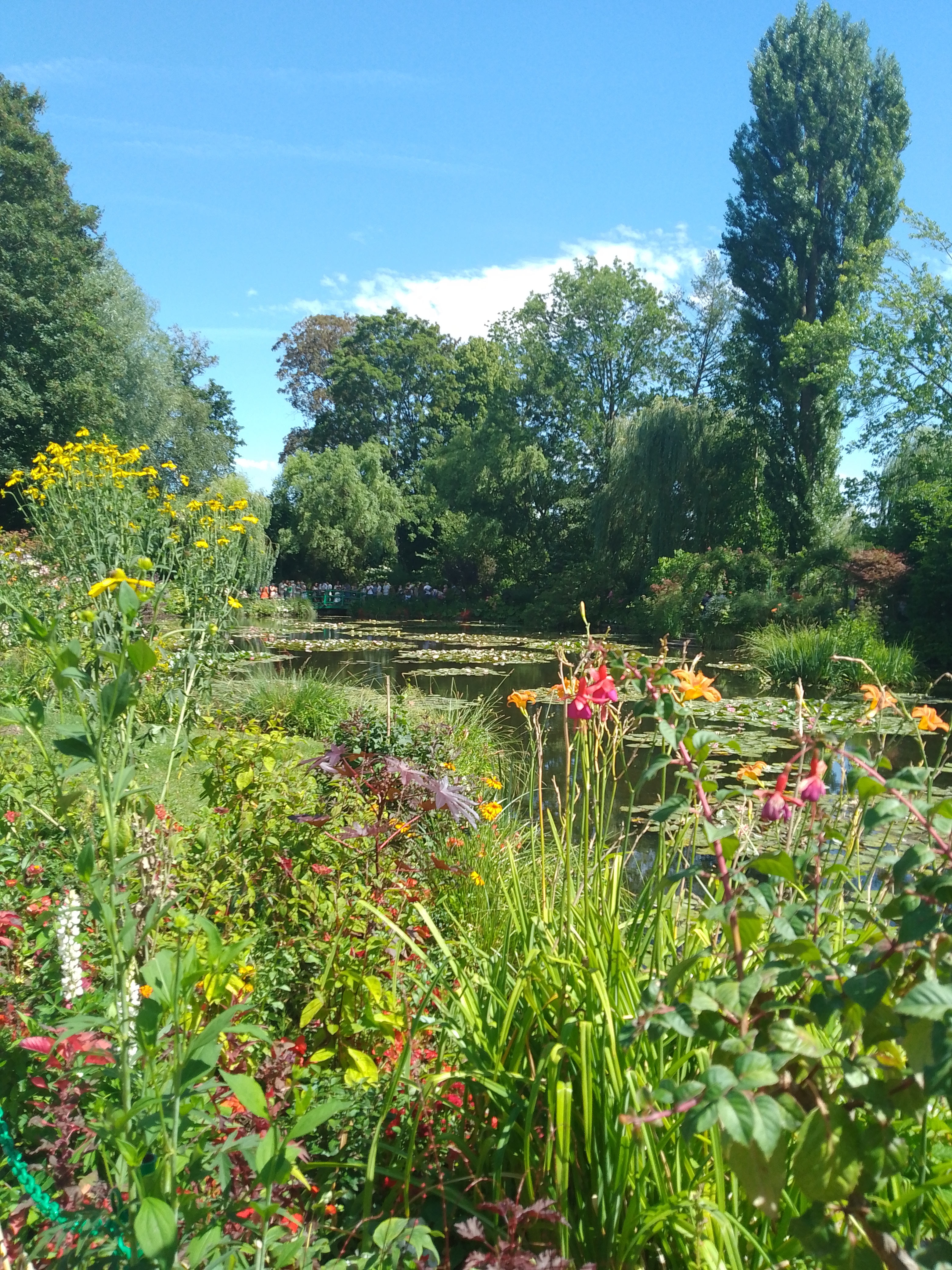 Photo n° 2 de l'avis de Chloé.w fait le 18/07/2023 à 19:34