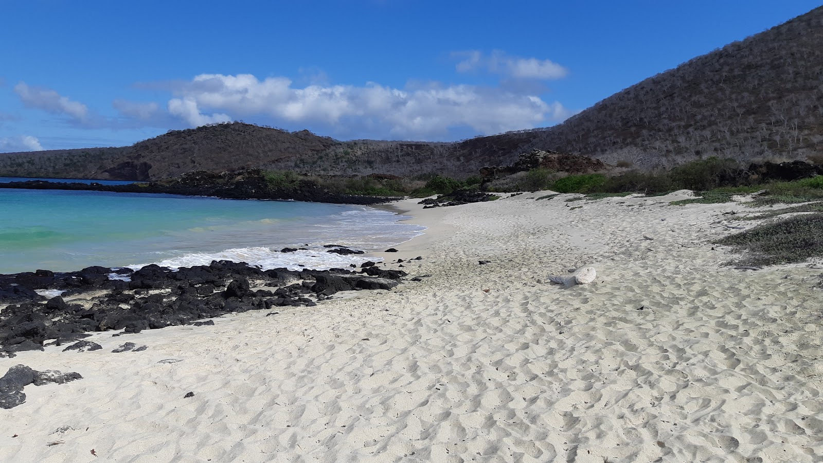 Foto av Punta Cormorant med rymlig strand