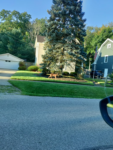 Park «Gorge Metro Park», reviews and photos, 1160 Front St, Cuyahoga Falls, OH 44223, USA