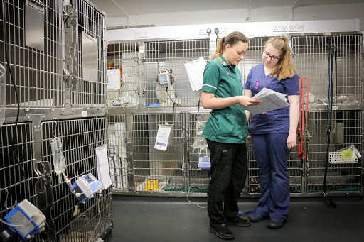 Westway Veterinary Group, Sunderland