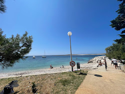 Luka Krijal Marina'in fotoğrafı imkanlar alanı