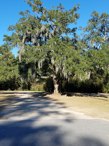 Gift Shop «The Original Hammock Shop», reviews and photos, 10880 Ocean Hwy, Pawleys Island, SC 29585, USA